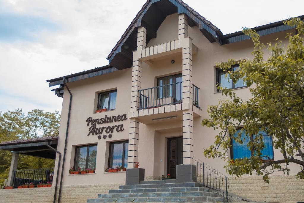 Pensiunea Aurora Hotel Rákova Kültér fotó